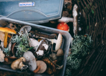 8 Iconic Caribbean Music Festivals: Must Go